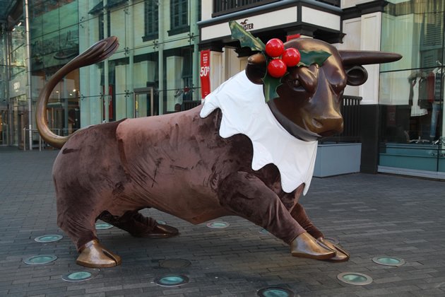 Birmingham Bull